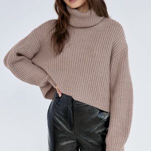 Aritzia Babaton Guell Turtleneck Sweater